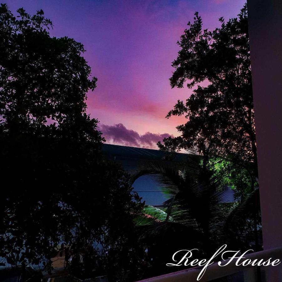 Reef Guest House ماليه المظهر الخارجي الصورة