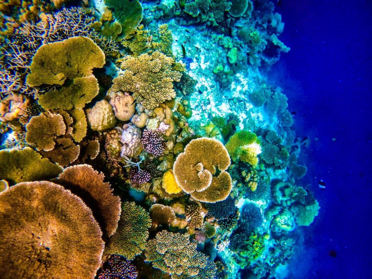 Reef Guest House ماليه المظهر الخارجي الصورة